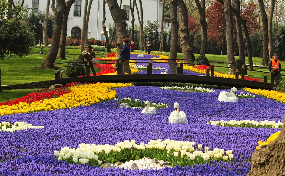 زمان برگزاری فستیوال گل لاله استانبول - ترکیه پلاس